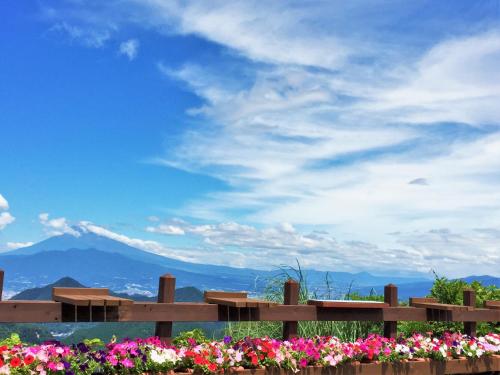 a wooden fence with flowers in the foreground at Izu Daisenya in Izunokuni