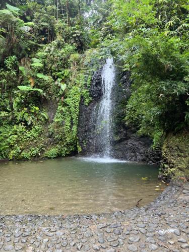 a waterfall in the middle of a pool of water at Le Ketmie nature et découverte in Fond-Saint-Denis