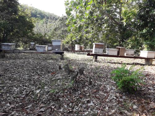 a group of boxes sitting on benches in a field at Veronica Villa 68 in Lucea