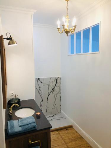 La salle de bains est pourvue d'un lavabo et d'un lustre. dans l'établissement L'Hôtel Particulier du 12, à Niort