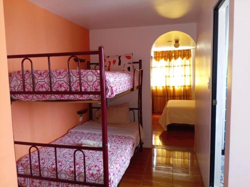 a bedroom with two bunk beds in a room at Hostal Mariscal Sucre in Tababela