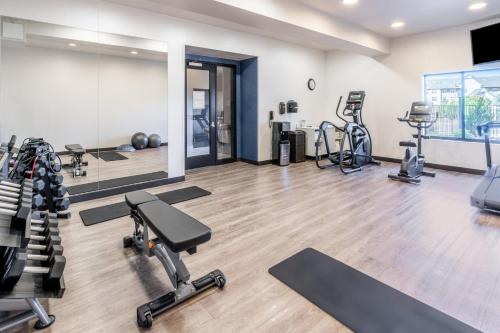 a gym with several treadmills and exercise machines at Holiday Inn Express & Suites - Colorado Springs AFA Northgate by IHG in Colorado Springs