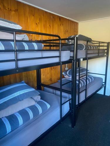 two bunk beds in a room with blue and white pillows at Alpine Lodge Queenstown in Queenstown