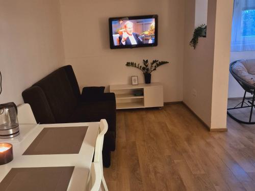 Milestone Studio apartment