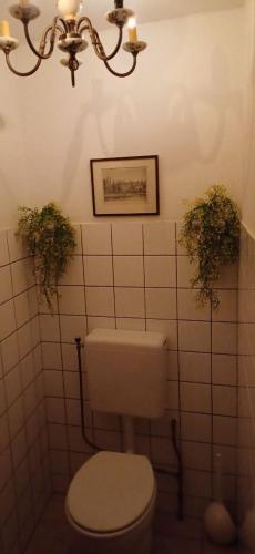 a bathroom with a toilet and two plants on the wall at number 8 in Leiden