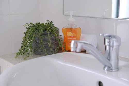 a bathroom sink with a bottle of soap and a plant at Kellyvile Delight 5BrHouseParkingShopping Center in Kellyville