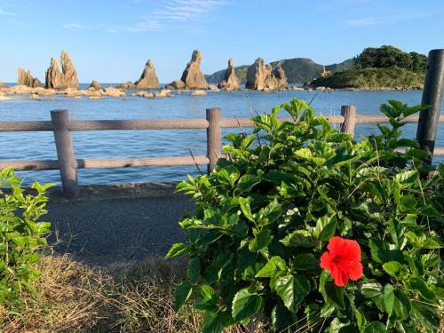 a bush with a red flower in front of a fence at 紀州安兵衛 in Kushimoto