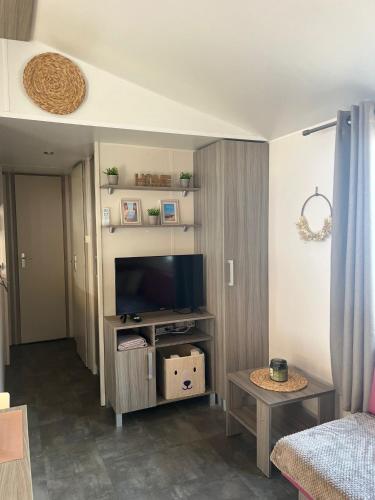 un salon avec une télévision à écran plat sur un centre de divertissement dans l'établissement Le Refuge du Bassin - Mobil-home 6 personnes 40m2, à Claouey