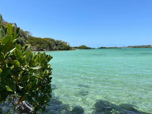 Villa Cotzot, 3 chambres, pieds dans l'eau