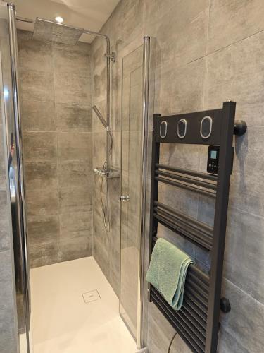 une douche avec une porte vitrée dans une salle de bain dans l'établissement Confortable et luxe à deux pas du château de Versailles, à Versailles