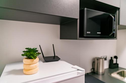 a plant sitting on top of a kitchen counter at Motel1- A megfizethető luxus! in Dunaújváros
