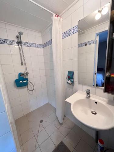 une salle de bain blanche avec un lavabo et une douche dans l'établissement Charmant appartement centre-ville jardin, à Valence