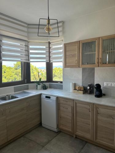 Kuchyň nebo kuchyňský kout v ubytování Artemis House