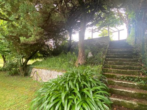 a set of stairs in a park with trees at Casa la Choza, con piscina en la playa de Oriñón in Oriñón