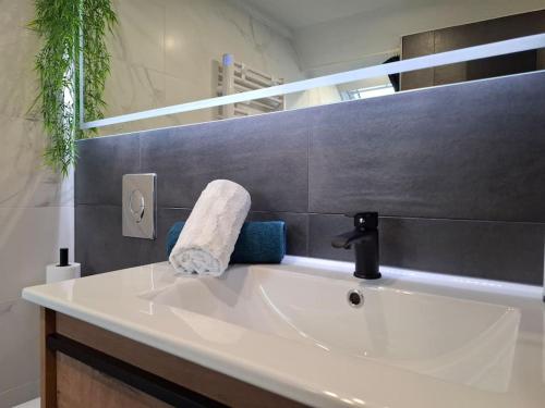 a bathroom with a sink with a towel on it at Bel Appartement, Sélestat in Sélestat