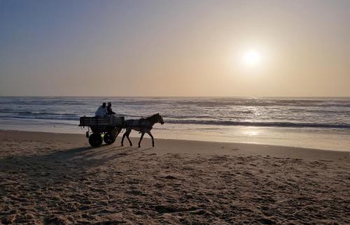 un caballo tirando de un carro en la playa en Association Humanitaire Keur Mama Africa, en Saint-Louis