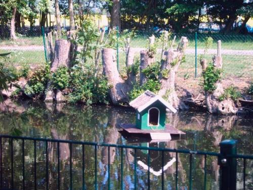 una casa de pájaros sentada en medio de un estanque en "Höper Mittelhof" Ferienhaus Nr 2, en Lemkendorf