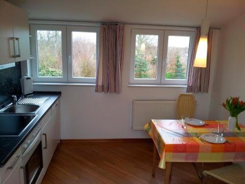 kuchnia ze stołem i 2 oknami w obiekcie "Höper Mittelhof" Ferienwohnung im Anbau w mieście Lemkendorf