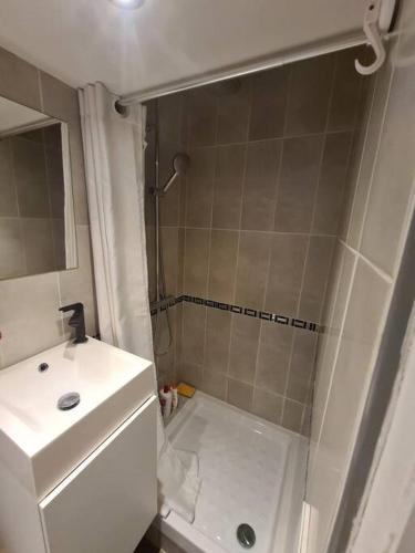 La petite salle de bains est pourvue d'une douche et d'un lavabo. dans l'établissement Cosy studio near to Paris and Orly airport, à Vitry-sur-Seine