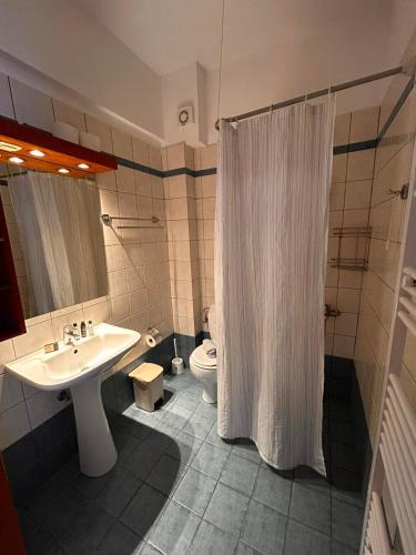 a bathroom with a shower and a sink and a toilet at Finikas Studios & Apartments - Kalamaki Holidays in Kalamaki