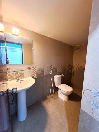 a bathroom with a sink and a toilet and a mirror at Family Inn - Airport Hotel in Dhaka