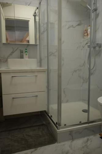 une salle de bain avec douche et lavabo dans l'établissement Une escale à la gare, à Niort