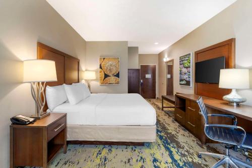 a hotel room with a bed and a desk and a television at Comfort Inn & Suites Valdosta I-75 in Valdosta
