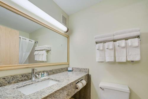 a bathroom with a sink and a mirror and a toilet at Quality Inn & Suites Sioux Falls South in Sioux Falls