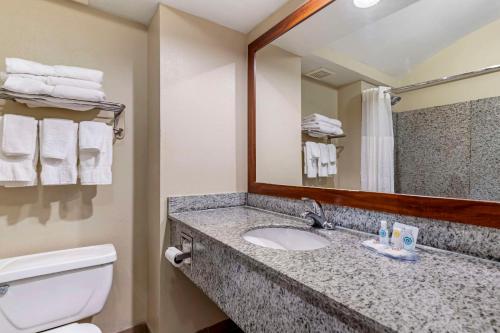 Koupelna v ubytování Comfort Inn & Suites