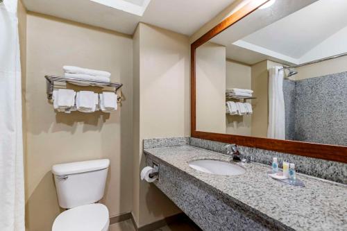 Koupelna v ubytování Comfort Inn & Suites