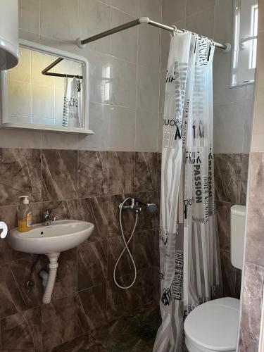 a bathroom with a sink and a toilet and a shower at Mica apartmani in Sutomore