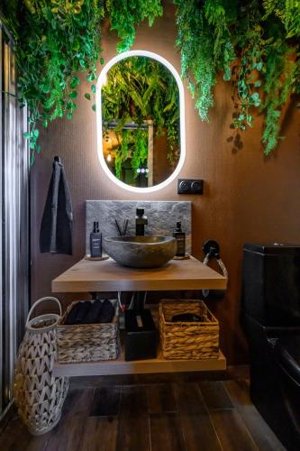 une salle de bain avec un lavabo et un miroir dans l'établissement Cinéroom - Jungle Fever, à Saint-Maur-des-Fossés