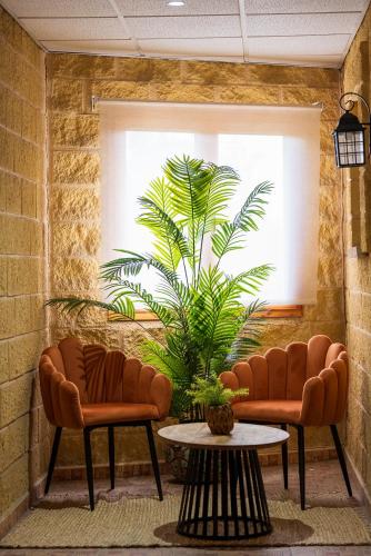 two chairs and a table in a room with a plant at Hotel Plaza Del Castillo in Málaga