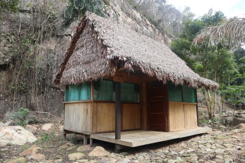 Příroda nedaleko kempu