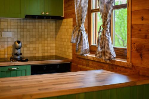 a kitchen with green cabinets and a wooden counter top at Vila Velika Kuća za odmor in Sertić Poljana