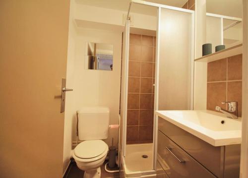 une petite salle de bain avec toilettes et lavabo dans l'établissement Studio duplex au pied des pistes, à Laveissière