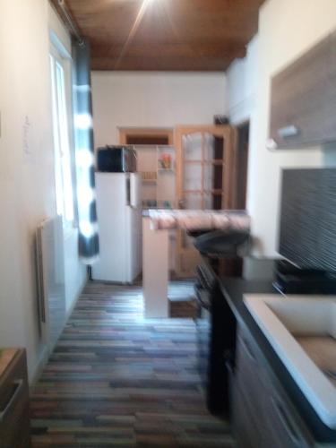 une cuisine avec un évier et un réfrigérateur dans l'établissement Studio a Vingrau, à Vingrau