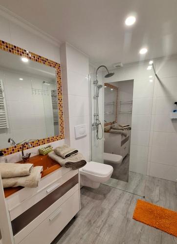 a bathroom with a sink and a toilet and a shower at Apartamento Santa Agueda in Burgos