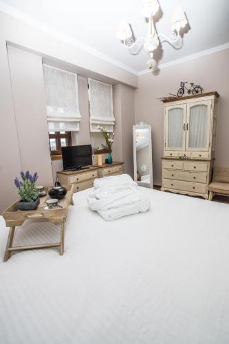 a living room with a bed and a tv at Evmorfes Villas in Poligiros