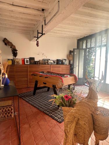 un salon avec une table de ping-pong dans l'établissement Maison charmante au bord du Rhône., à Arles