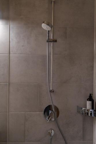 a shower with a shower head in a bathroom at Haus Kanabe in Schoppernau
