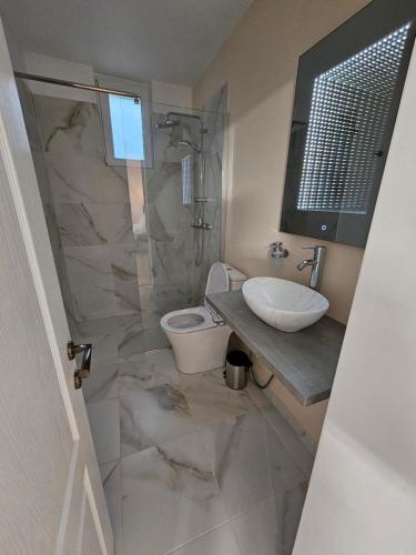 a bathroom with a shower and a toilet and a sink at Terrace Green Hill House in Braşov