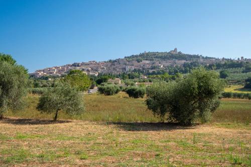Fotografie z fotogalerie ubytování Charming Home with Garden & Stunning Views of Assisi v destinaci Assisi