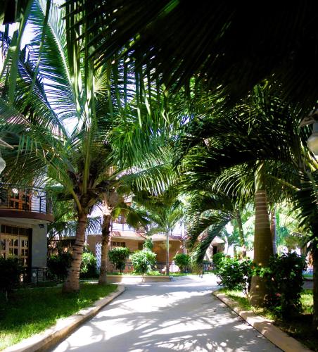 a row of palm trees in front of a building at Pearl Homes in Ukunda