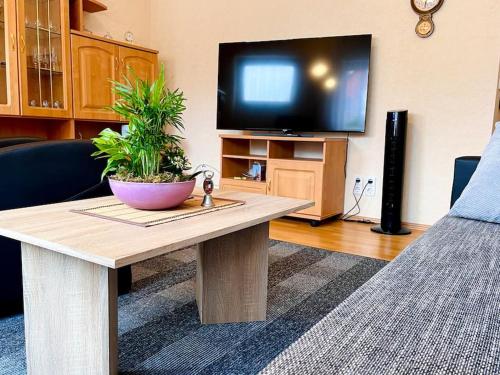 sala de estar con TV y mesa con planta en Turmhof Jüterbog, en Jüterbog