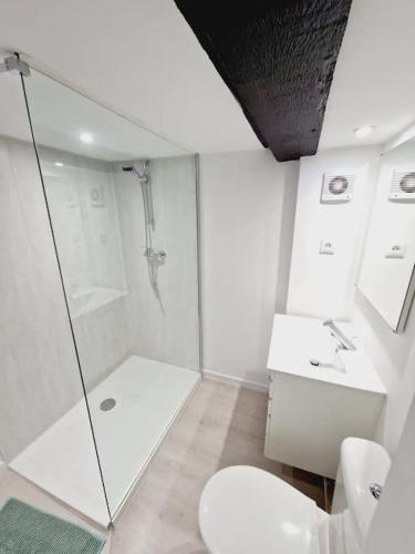 une salle de bain blanche avec douche et toilettes dans l'établissement Appartements centre-ville Avesnes sur Helpe Duplex confort, à Avesnes-sur-Helpe