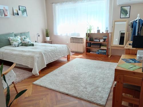 een slaapkamer met een bed en een groot raam bij Tulipán Apartman in Békéscsaba