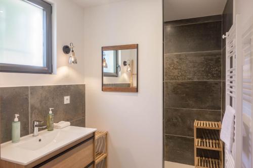 une salle de bain avec un lavabo et une douche dans l'établissement Proche ORLEANS - Maison 2 chambres - Accès direct au Bord du Loiret, à Saint-Hilaire-Saint-Mesmin