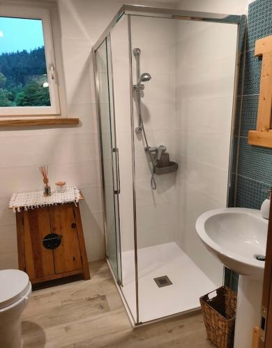 a bathroom with a shower and a toilet and a sink at Alloggio agrituristico Pociat in Pradis