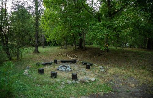 a fire pit in the middle of a field with trees at Doispe Nuci in Bistra Mureşului